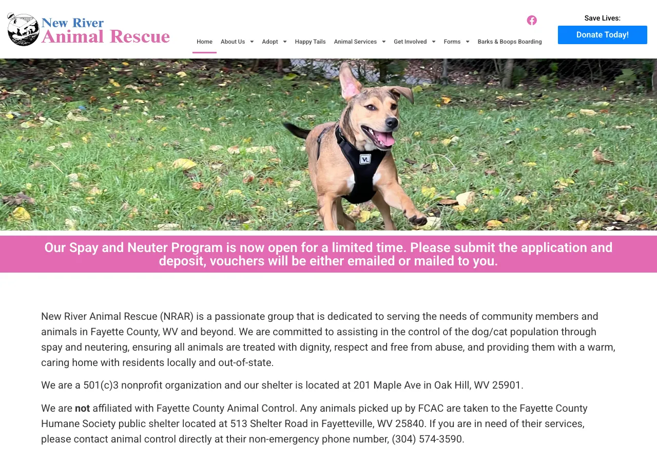 The current New River Animal Rescue website: cramped navigation and long blocks of small text