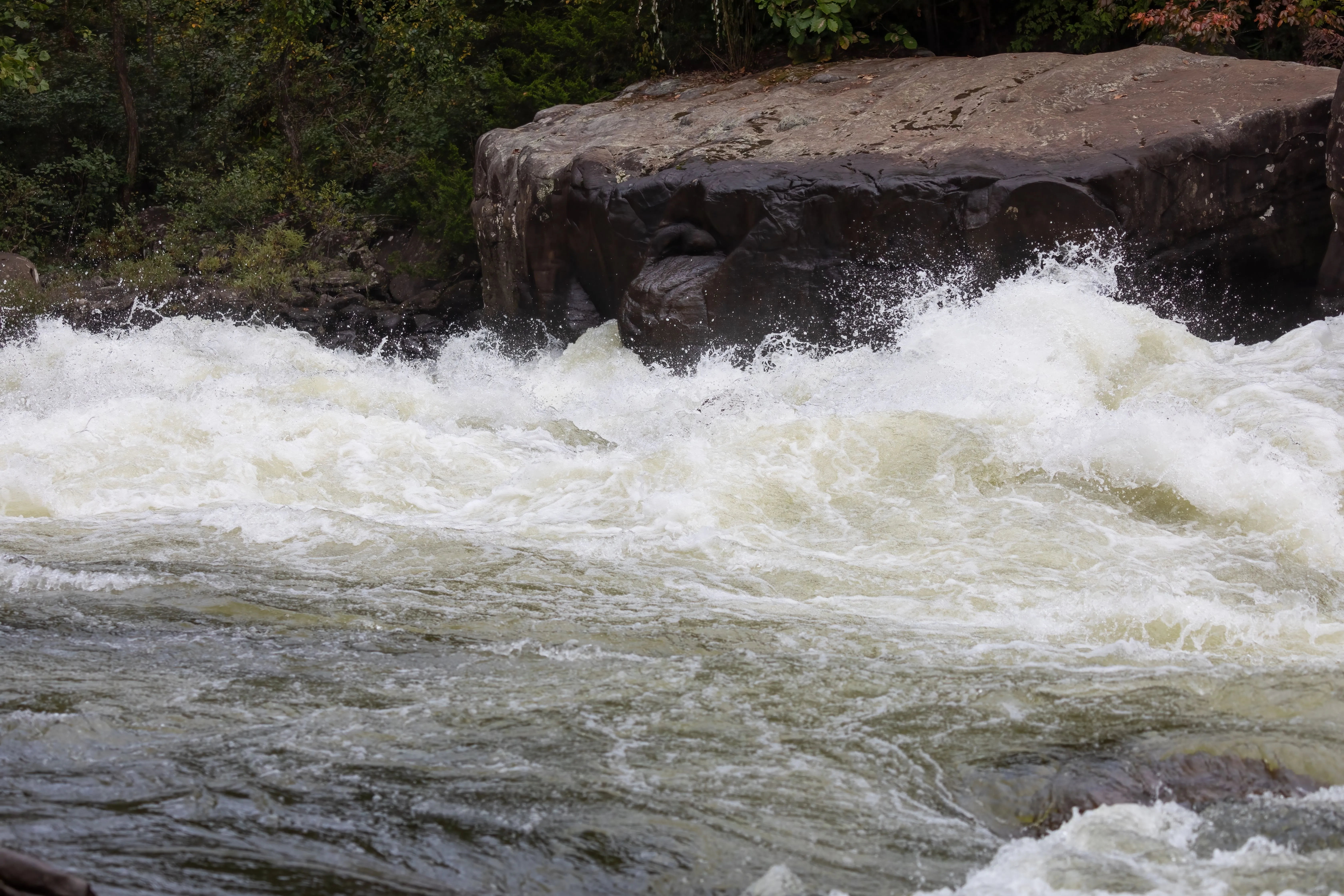 Churning whitewater rapids crashing past a large boulder on the Gauley River