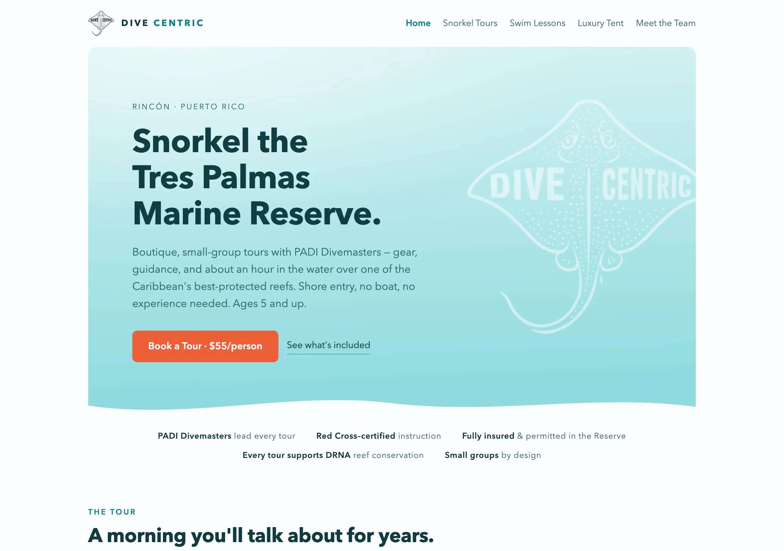 The new Dive Centric homepage: an airy aqua design with a manta ray logo watermark, “Snorkel the Tres Palmas Marine Reserve” headline, and a Book a Tour button